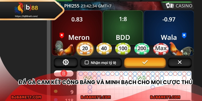Đá gà cam kết công bằng và minh bạch cho mọi cược thủ