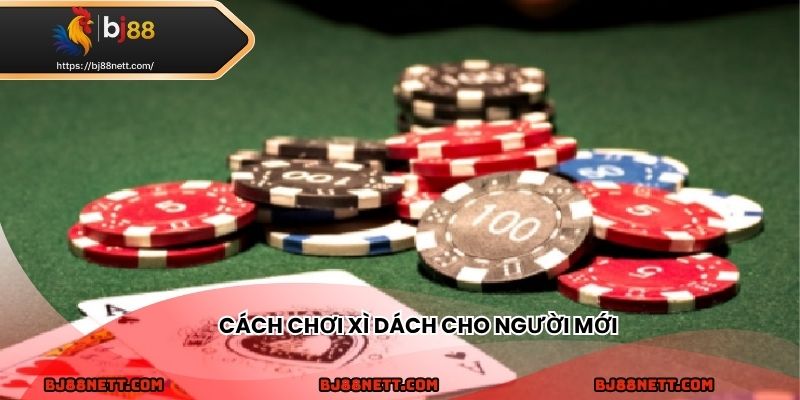Chi tiết cách chơi xì dách cho người mới bắt đầu